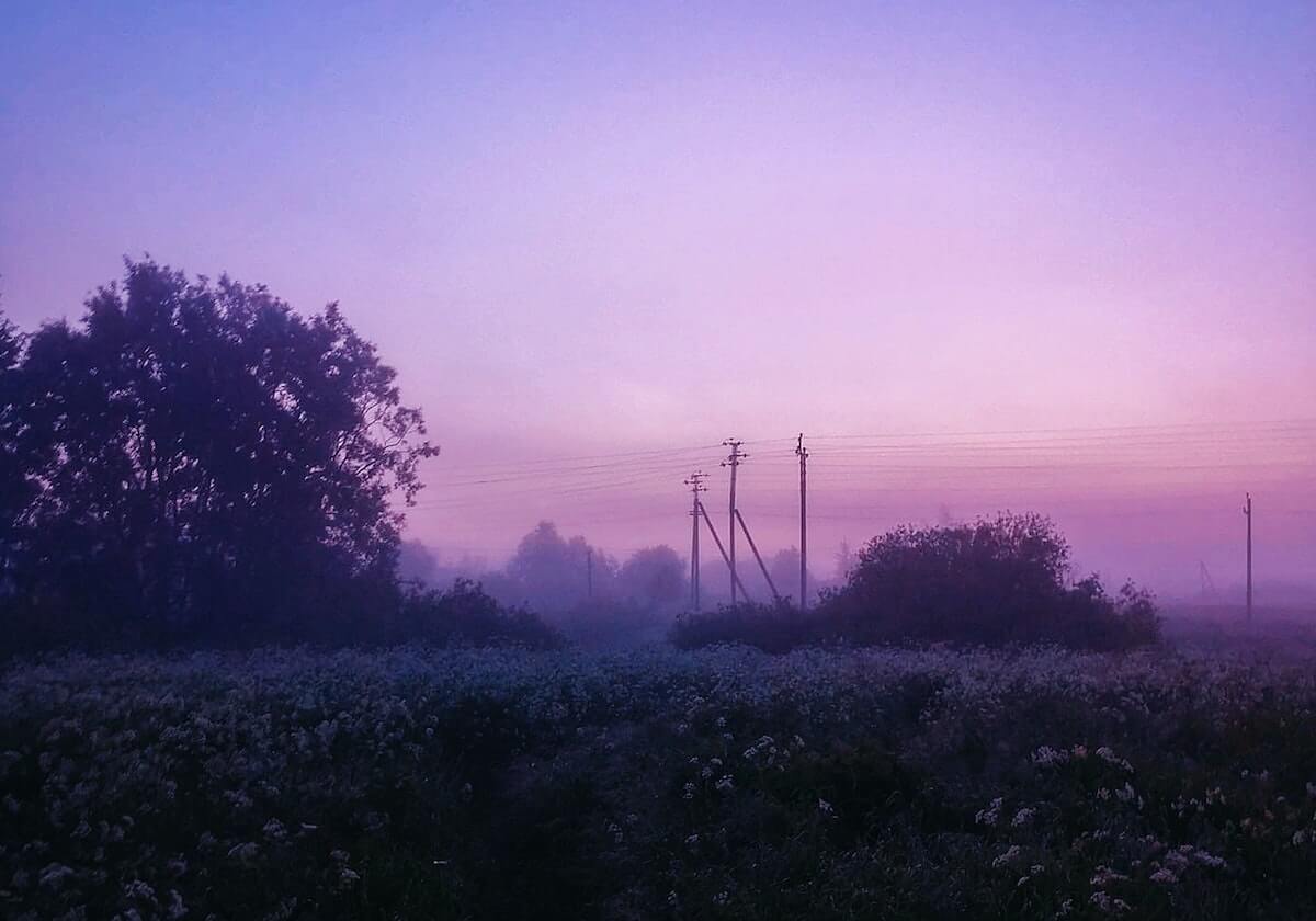 北京体育彩票官网-你爱吃的网红凤爪，生产工人为何一口不吃？其用工业双氧水漂白，药厂参与，黑产链终被